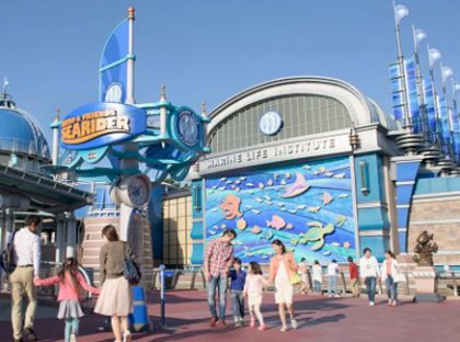 Attraction & Entertainment